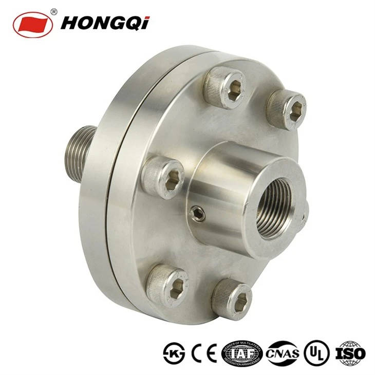 Stainless Steel Diaphragm Pressure Gauge With Flange Connection factory