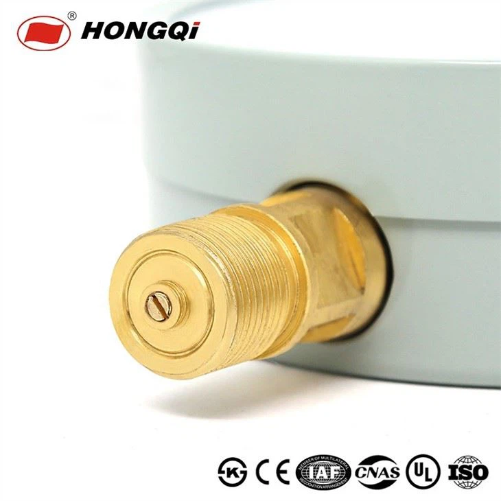 Hongqi (6